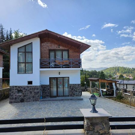 Villa In Mountains Bakuriani Luaran gambar