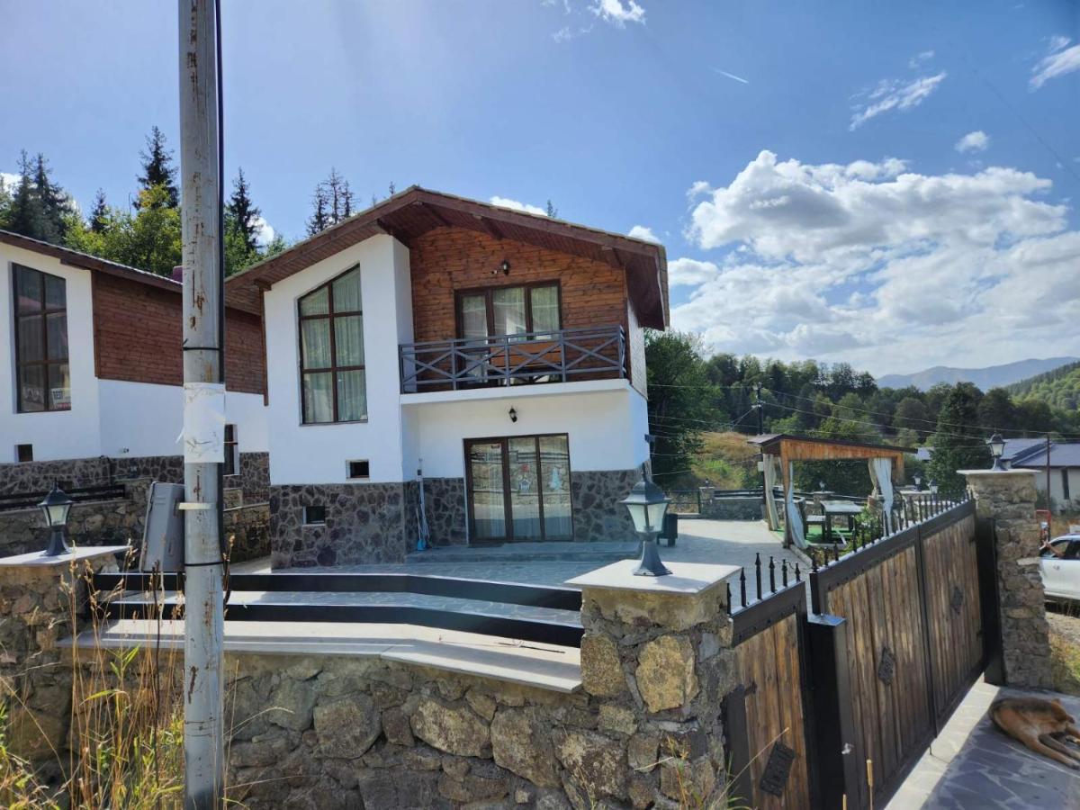 Villa In Mountains Bakuriani Luaran gambar