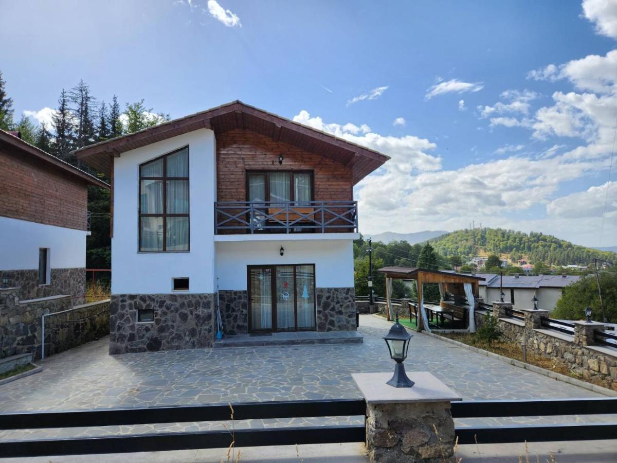 Villa In Mountains Bakuriani Luaran gambar