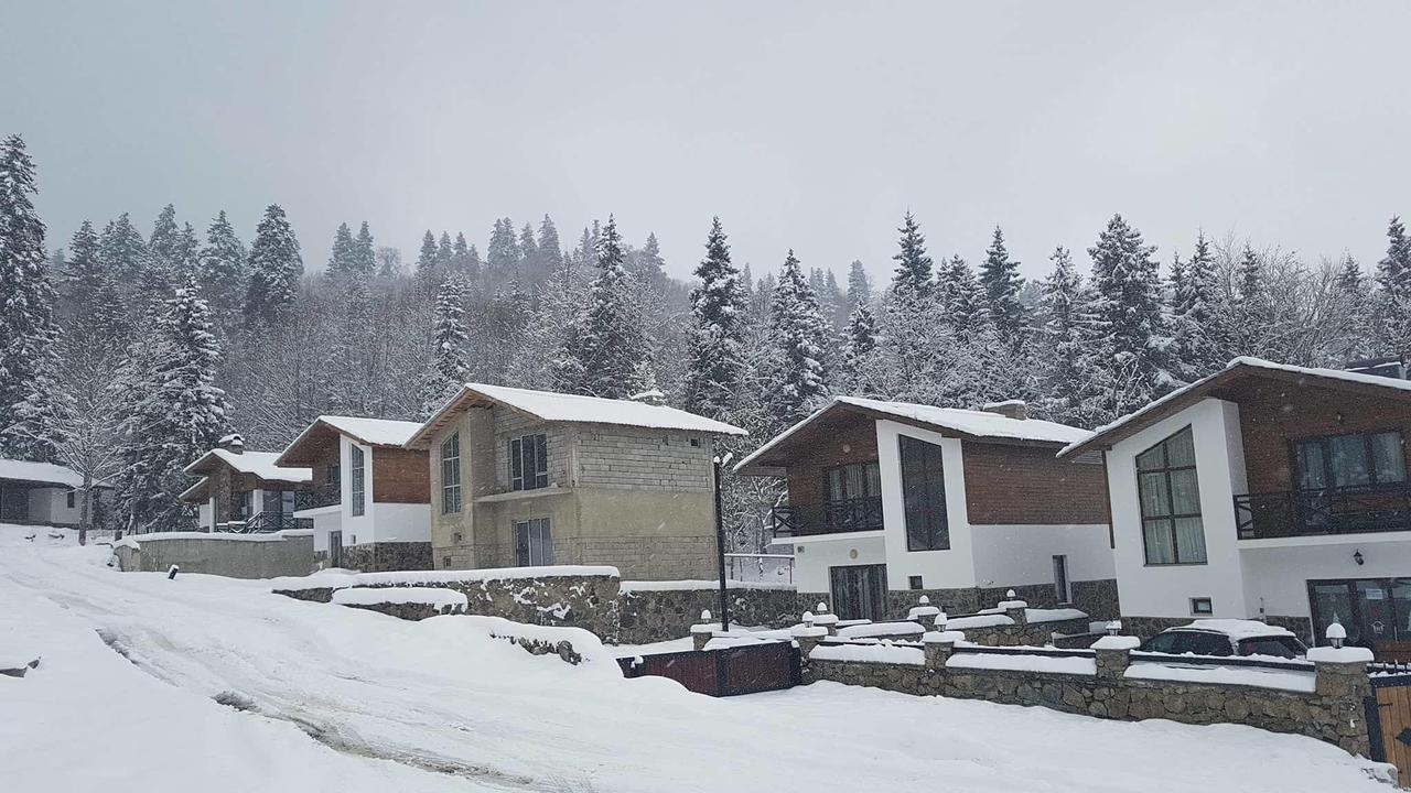 Villa In Mountains Bakuriani Luaran gambar