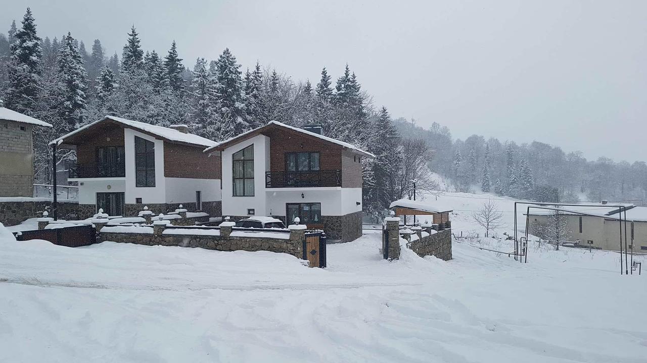 Villa In Mountains Bakuriani Luaran gambar