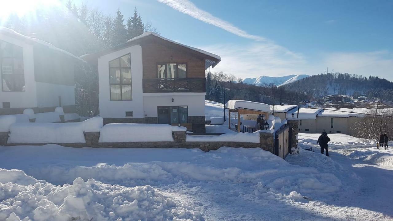 Villa In Mountains Bakuriani Luaran gambar
